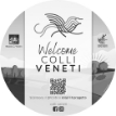 Livello 1