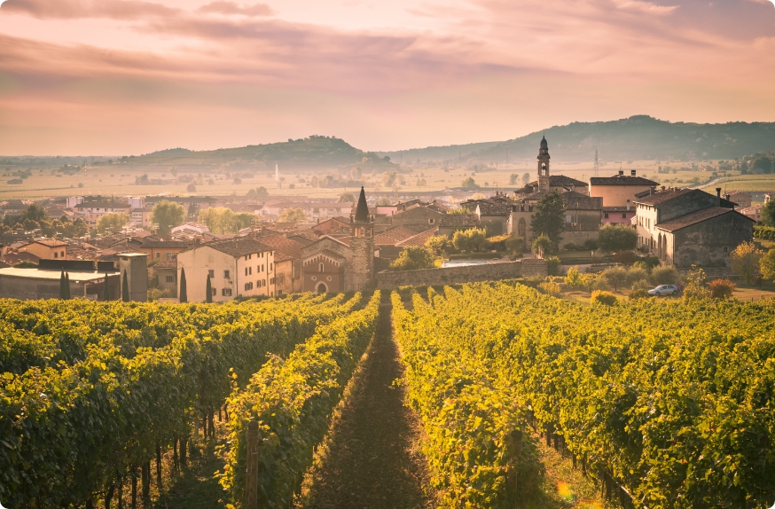 turismo enogastronomico in Veneto