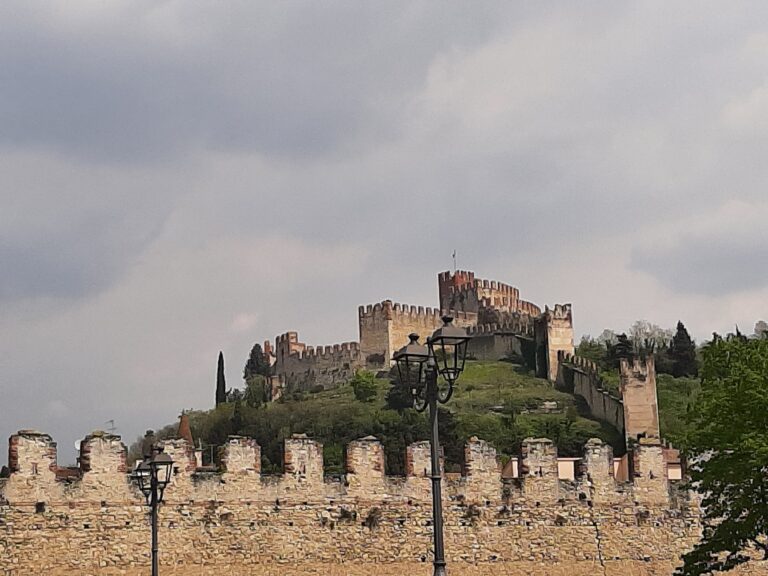 FOTO 8 - Soave